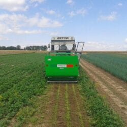 Peruzzo_panther-professional-cultivated-area-mower