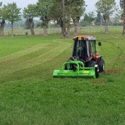 Peruzzo_peruzzo-bull-reverse-grass