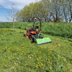 Peruzzo_peruzzo-foxs-uncultivated-area