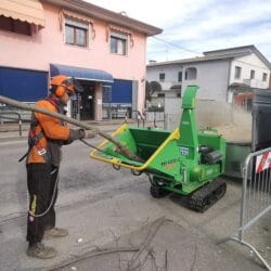 Peruzzo_peruzzo-tb120c-professional-chipper