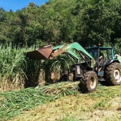 Peruzzo_rear-mounted-flail-collector-elephant