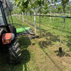 Peruzzo_roto-rotary-mower-for-orchards