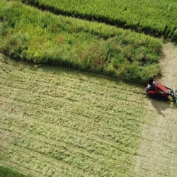 Peruzzo_scorpion-mower-green-areas