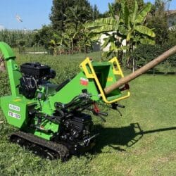 Peruzzo_tb-100-c-pro-palm-fields-chipper