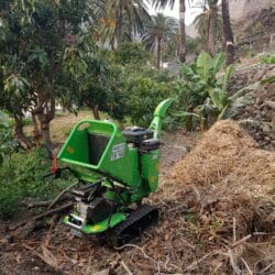 Peruzzo_tb100-c-palm-waste-chipper