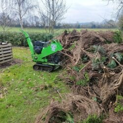 Peruzzo_tb100-c-pine-wood-chipping