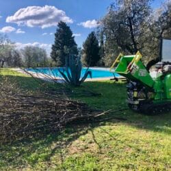 Peruzzo_tb100-c-pro-chipper-for-pool-maintenance