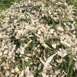 Peruzzo_tb100-wood-chips-1