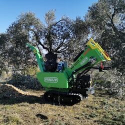 Peruzzo_tb100c-pro-olive-pruning