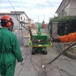 Peruzzo_tb120c-pro-large-branches-chippper