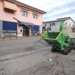 Peruzzo_tb120c-pro-large-thik-tree-branches