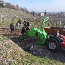 Peruzzo_tirex-chipper-branch-pruning