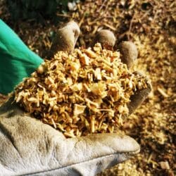 Peruzzo_wood-chips-3