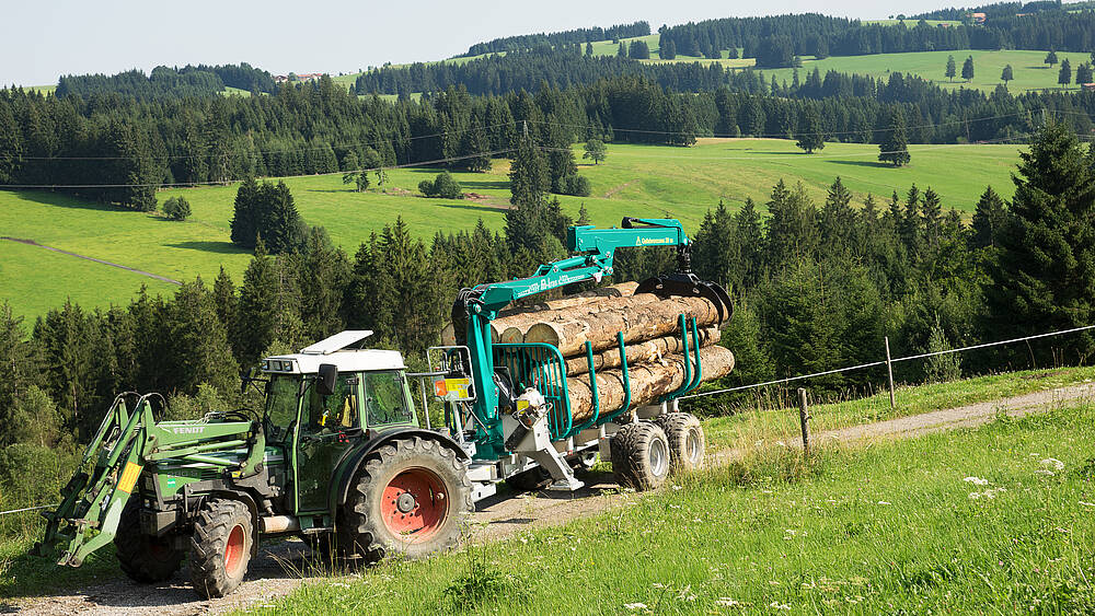 Pfanzelt_csm_170719_p11_forstweg_1_a8c81cdd5c