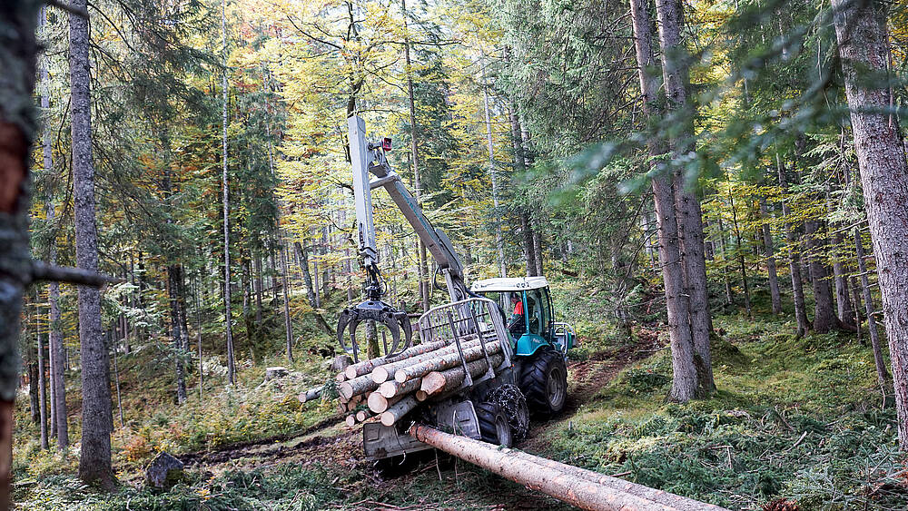 Pfanzelt_csm_170929_felix_maurer_kombieinsatz_2_1c65727b5b