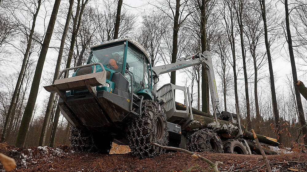 Pfanzelt_csm_190208_felix_212_heidenfelder_1_682f9c81e4