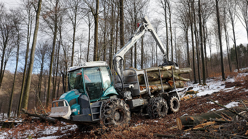 Pfanzelt_csm_190208_felix_212_heidenfelder_2_4271440a07