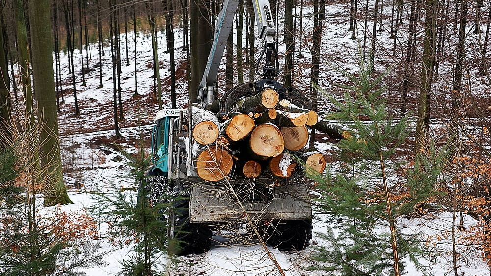 Pfanzelt_csm_190208_felix_212_heidenfelder_3_86be99d7d2