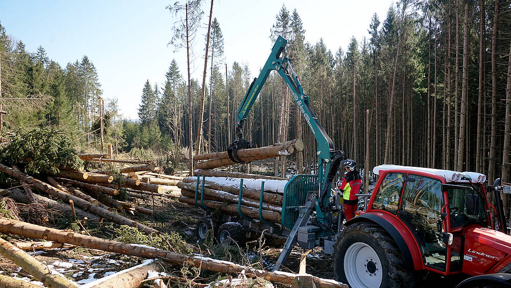 Pfanzelt_csm_200403_p11_1_0258f842e0