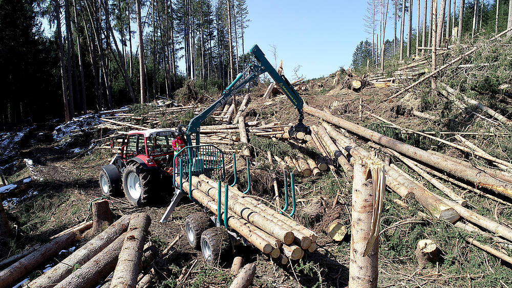 Pfanzelt_csm_200403_p11_3_b048bcf53c