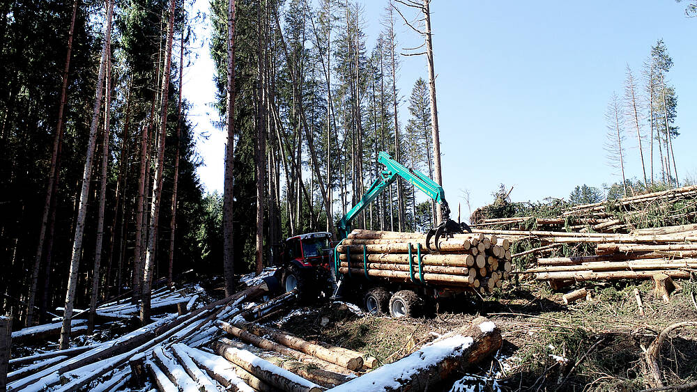 Pfanzelt_csm_200403_p11_4_cf3cb65fc8