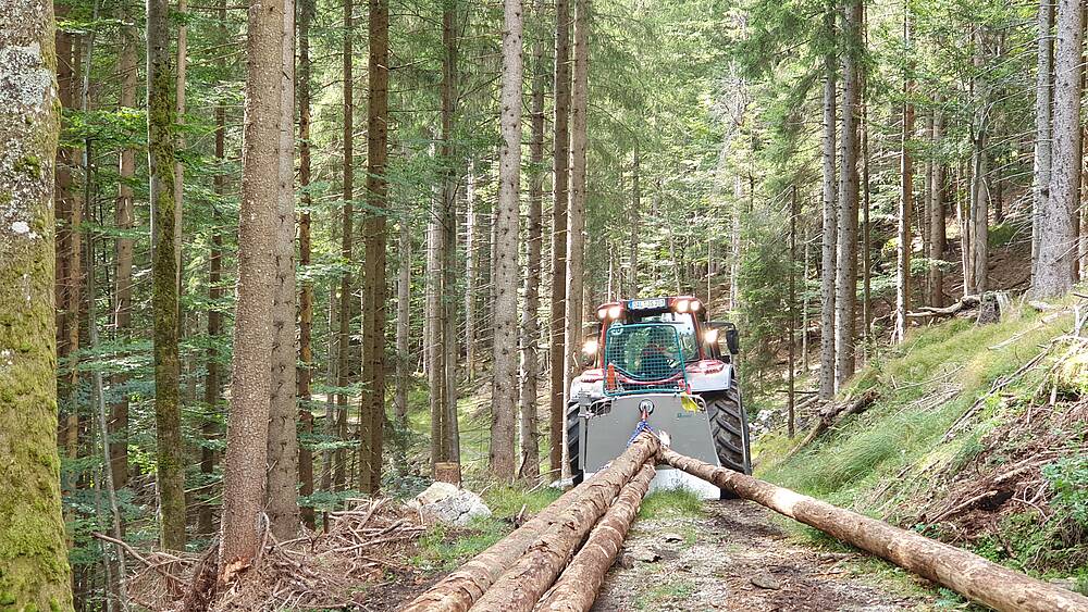 Pfanzelt_csm_20200922_144153_f53086f63b