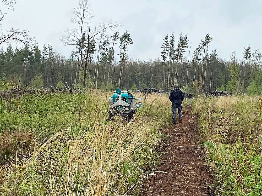 Pfanzelt_csm_210518_jungbestandspflege_7715c8cf95