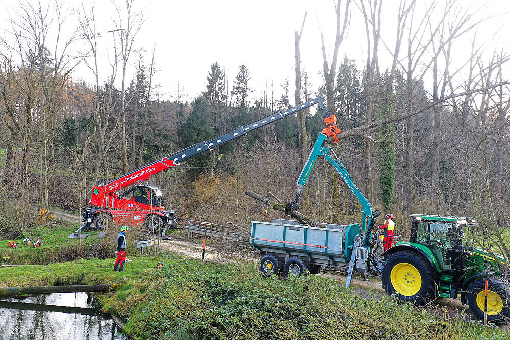 Pfanzelt_csm_221207_forstarena_hoellinger_1_db35de8762