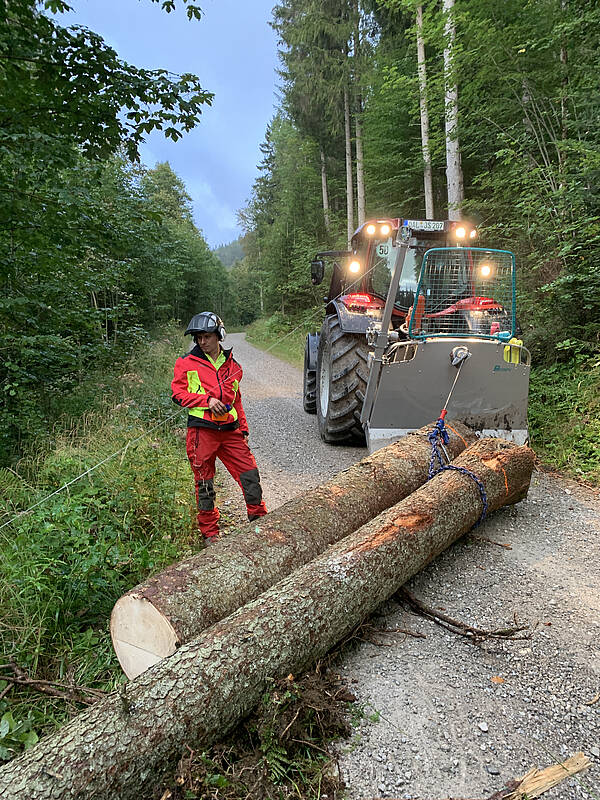 Pfanzelt_csm_4f44e379-fd31-44bb-824d-8b6ec000fa22-1_58cfa93682