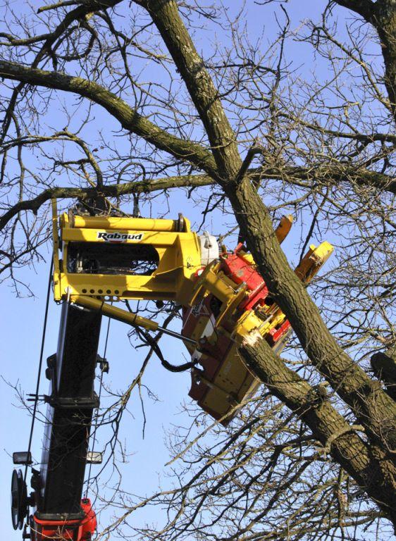 Rabaud_abateuse-telescopique