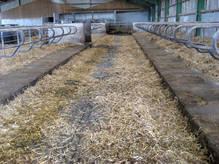 Rabaud_apres-balayage