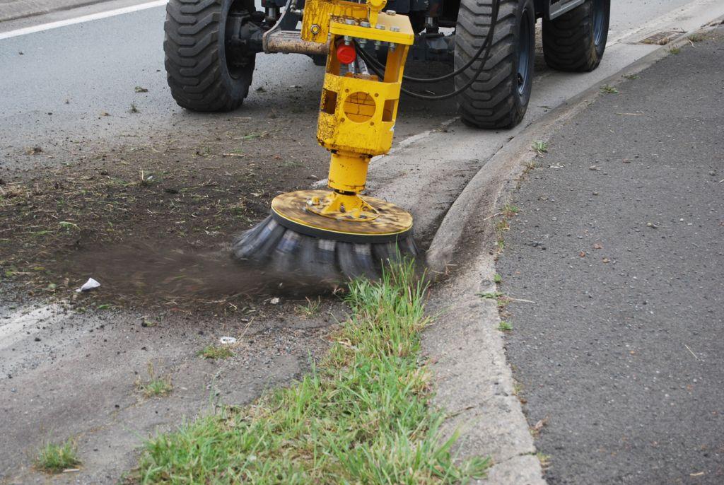 Rabaud_brosse-fer-desherber