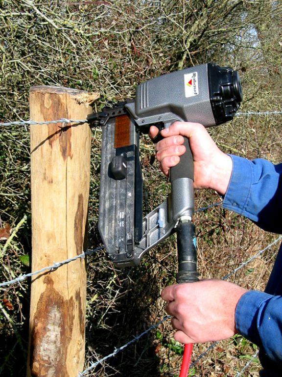 Rabaud_cloueur-barbele