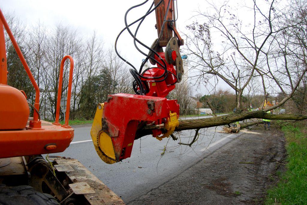 Rabaud_coupe-arbre-pelle