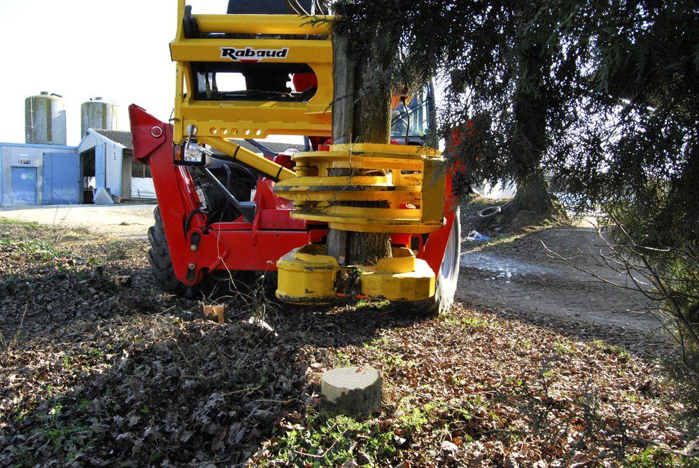 Rabaud_coupe-bois-sapin-elagage