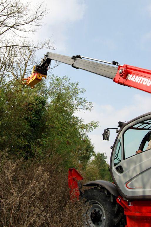 Rabaud_coupe-branche-elagage