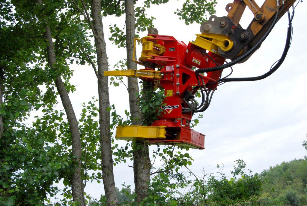 Rabaud_coupe-brasse-bois