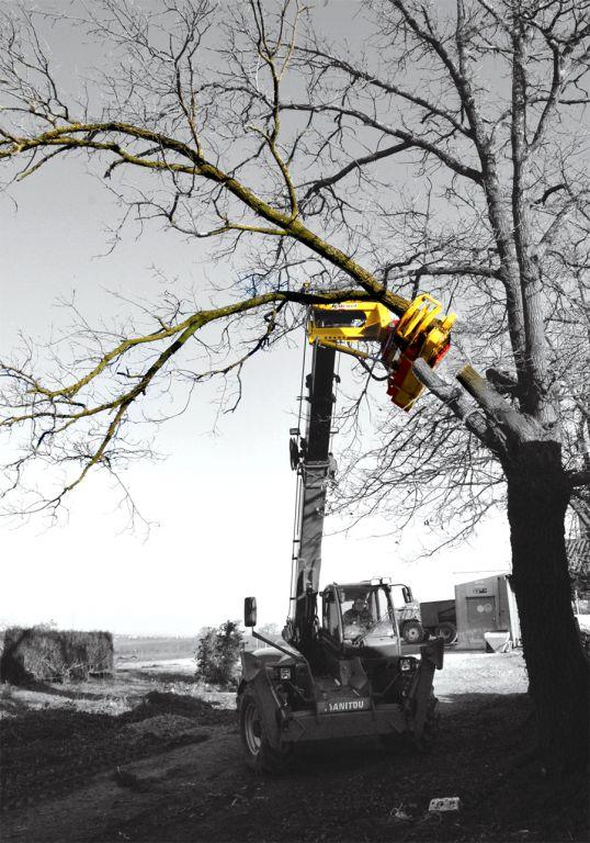 Rabaud_coupeur-branche-pelle-rabaud