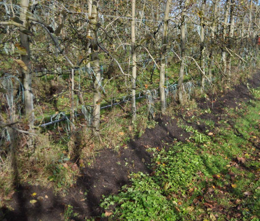 Rabaud_epandage-sur-vergers