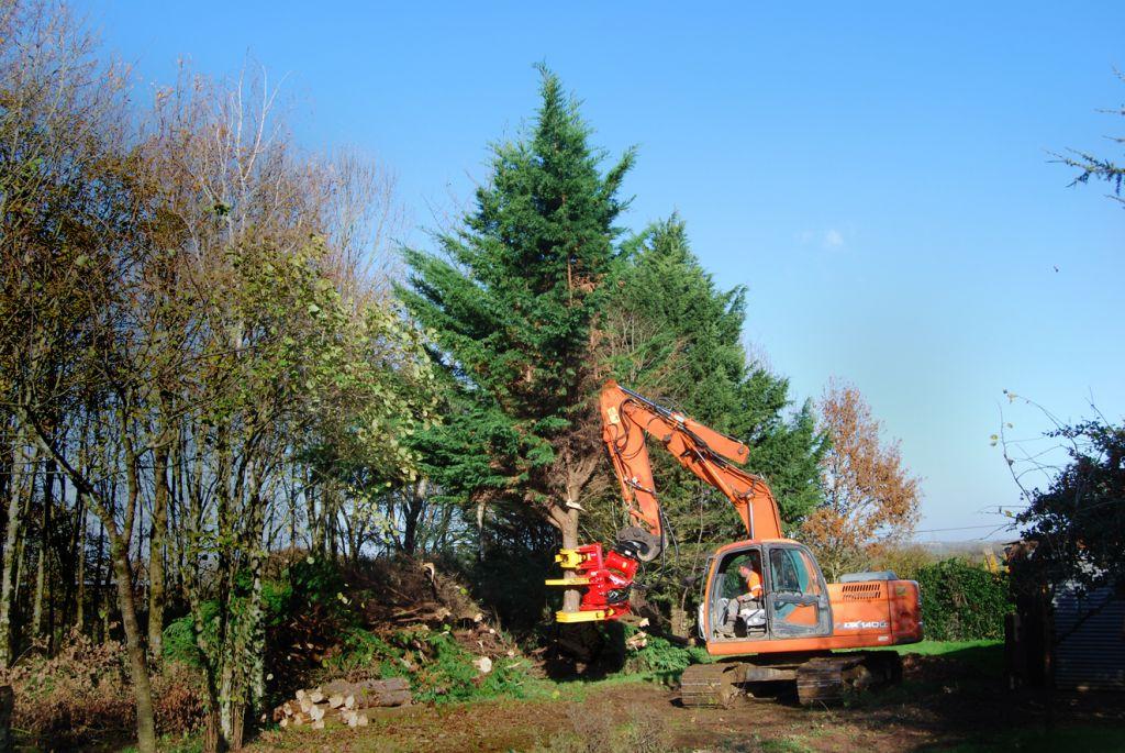 Rabaud_grappin-branche-310pe