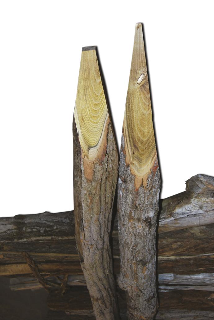 Rabaud_pieu-appointe-reglage-pointe