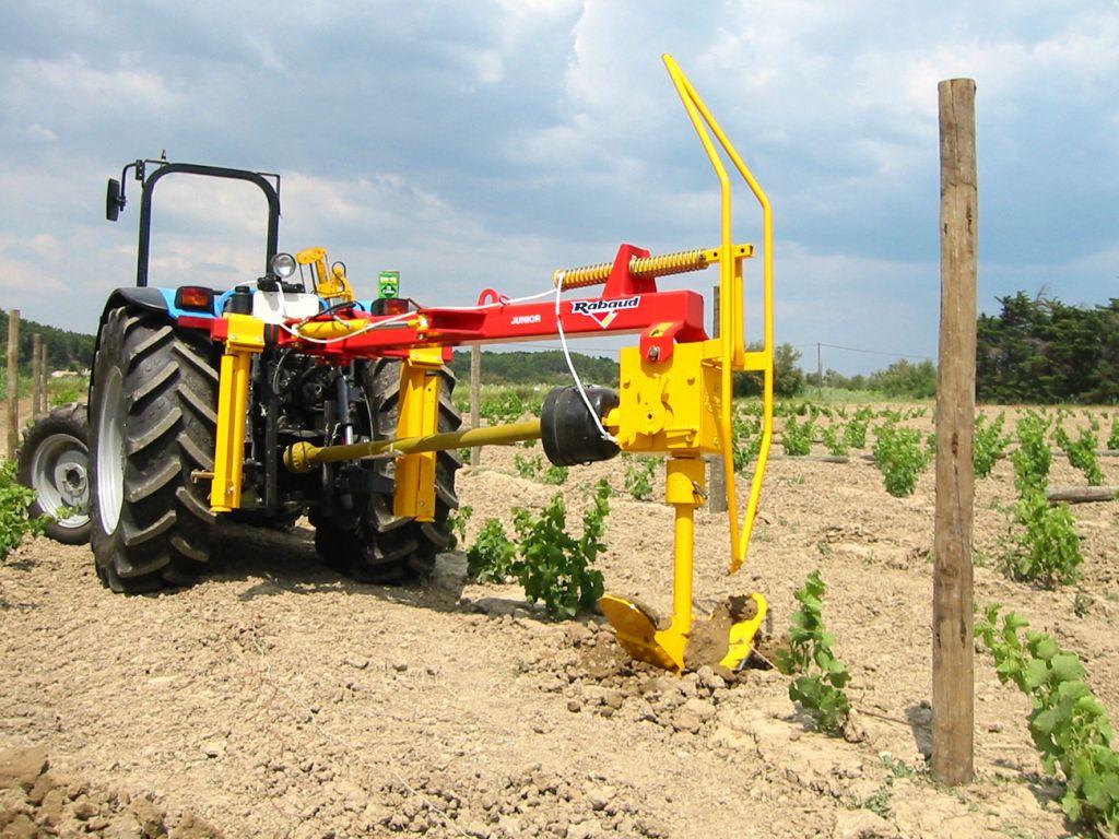 Rabaud_tariere-vigneronne-rabaud