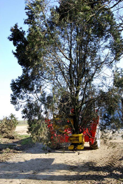 Rabaud_transport-grappin-coupe-branche