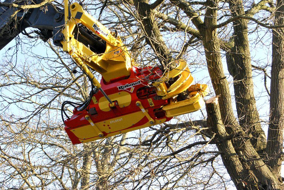 Rabaud_verin-inclinaison-coupe-branche