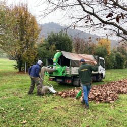 Peruzzo_branches-vacuum-turbo400