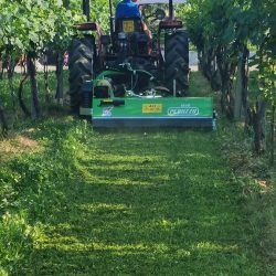 Peruzzo_elk-cross-flail-mower-wineyards