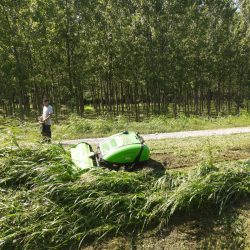 Peruzzo_flail-mower-undergrowth-robofox-hybrid