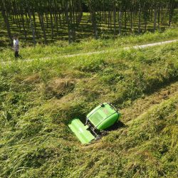Peruzzo_grass-shrubs-cutting-robofox-hybrid