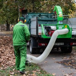 Peruzzo_green-maintenance-leaf-vacuum