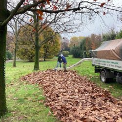 Peruzzo_leaf-vacuum-machine-turbo4001